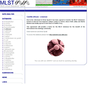 Tablet Screenshot of calbicans.mlst.net
